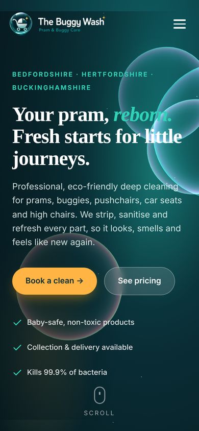 The Buggy Wash website on a phone