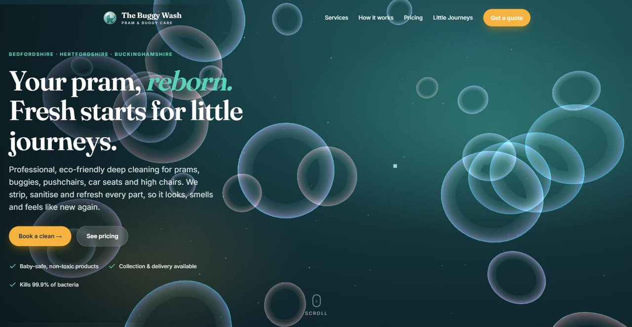 The Buggy Wash website on a desktop screen